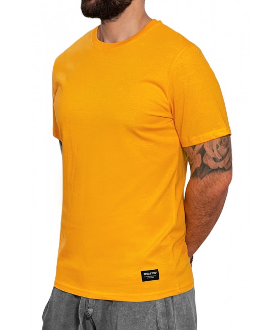 Ανδρικό t-shirt RONALD ΝΕΕΣ ΑΦΙΞΕΙΣ  