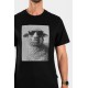 Ανδρικό t-shirt SHEEP ΝΕΕΣ ΑΦΙΞΕΙΣ  